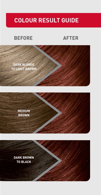 Cinnamon Red | Renew Hair Colour